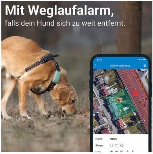 Actual product image Tractive GPS Dog (XL, Dog, Dog sport, Walks, Jogging)