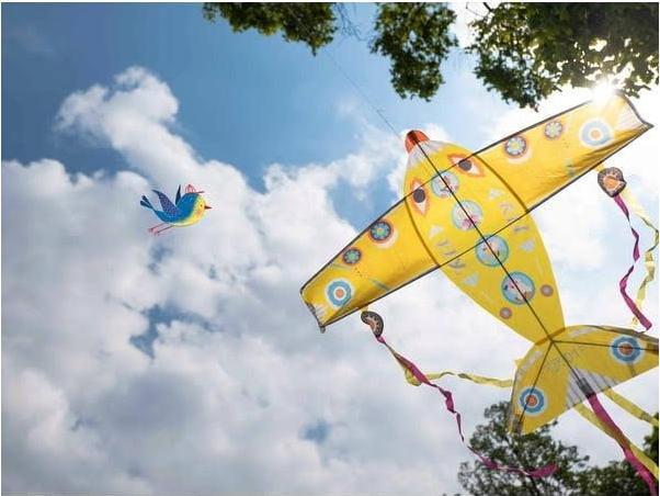 Immagine prodotto Djeco Maxi aereo Flying Dragon