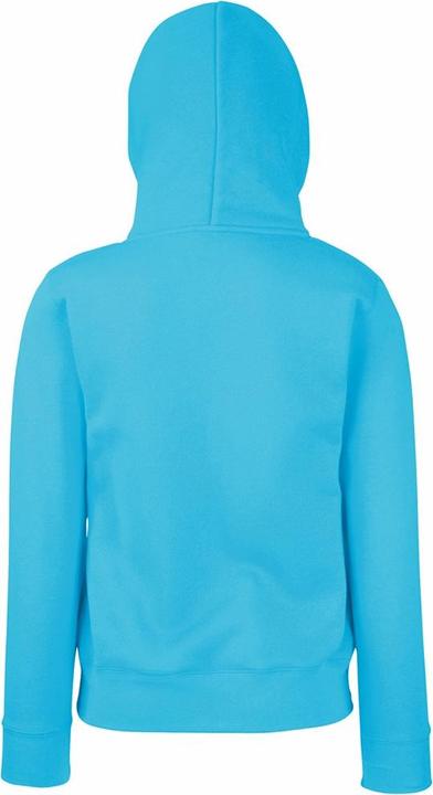 Actual product image Fruit of the Loom Lady fit jumper with hood (M)