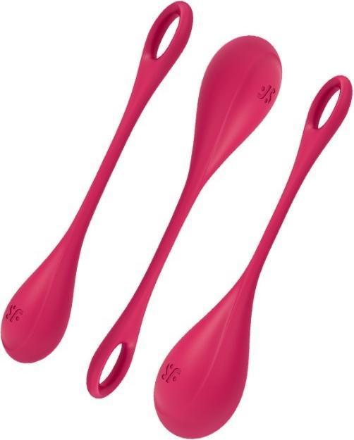 Image du produit Satisfyer Yoni Power 1