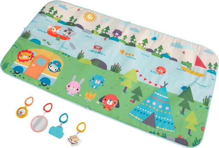 Fisher-Price GXR53