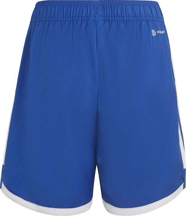 Actual product image adidas Tiro 23 Competition Match training shorts kids (140)