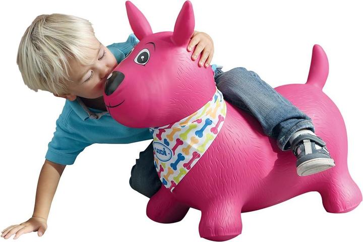 Image du produit LUDI Chien rebondissant