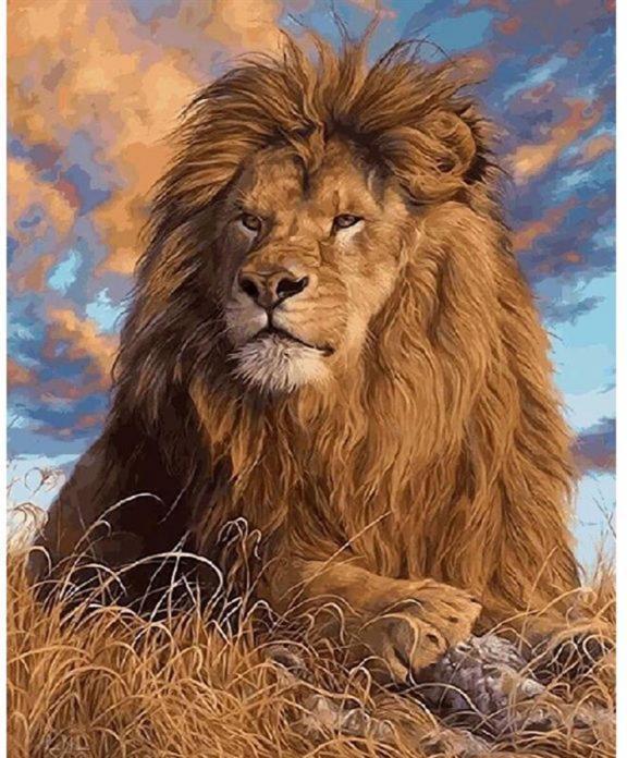 Image du produit Pracht Diamond Painting Lion