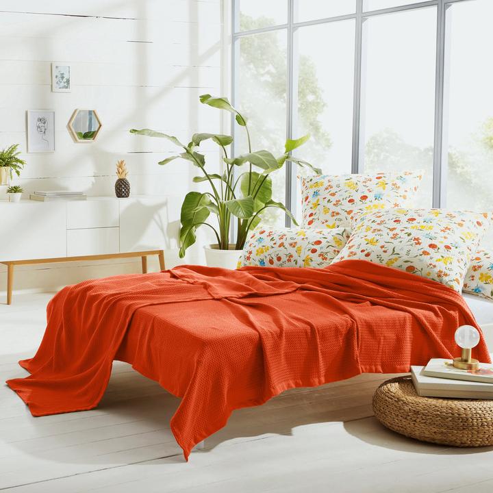 Produktbild Erwin Müller Sommerdecke (220 x 240 cm)