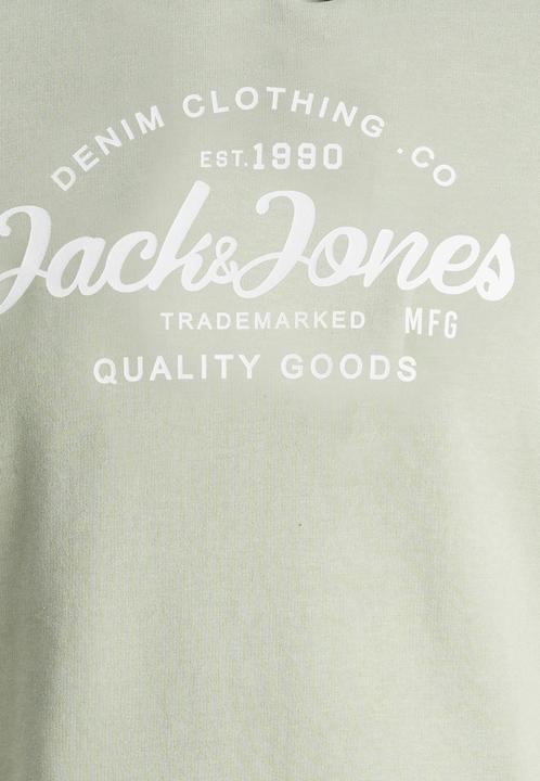 Image du produit Jack & Jones Jjforest Sweat Hood Jnr (140)