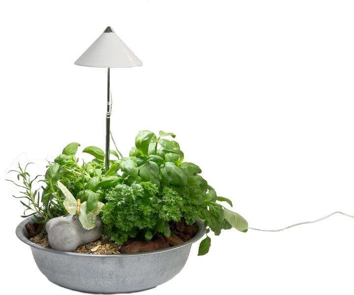 Actual product image Colibri SUNLiTE white (LED, 230 V)