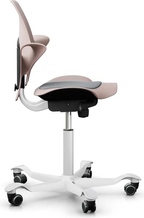 Image du produit HAG Capisco Pulse 8010