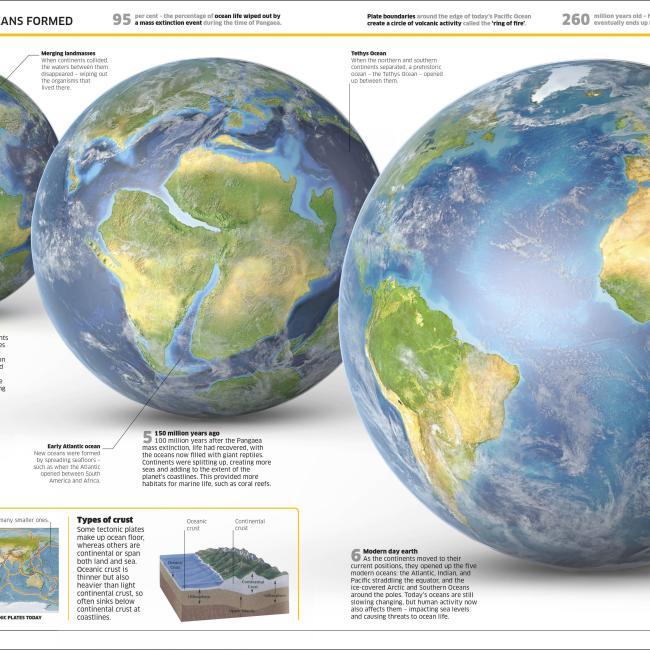 Image du produit Knowledge Encyclopedia Ocean! (Anglais, Collectif, 2020)