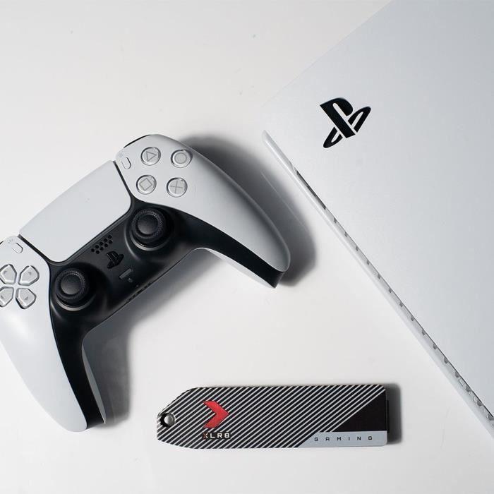 Actual product image PNY CS3140 (1000 GB, M.2 2280)