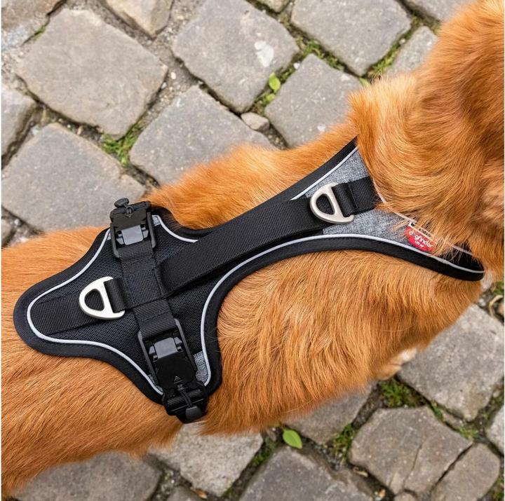 Image du produit Curli Harnais magnétique Belka Comfort (XS, Chien, Général)