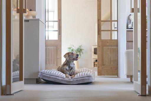 Produktbild Designed by Lotte Liegekissen Reza (Hund)