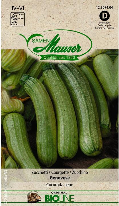 Immagine prodotto Samen Mauser BIO Zucchetti Genovese (Semi di verdura)