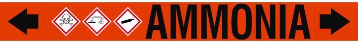 Actual product image Brady ASME - Pipe markers - Ammonia