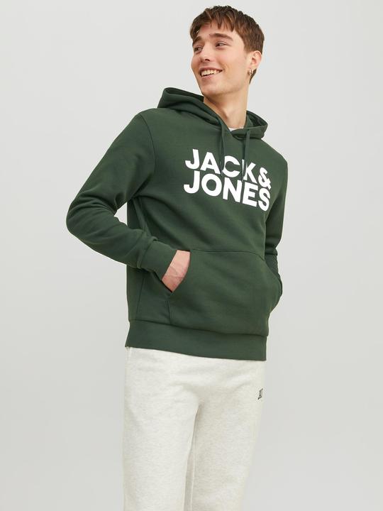 Image du produit Jack & Jones Logo Hoodie (L)