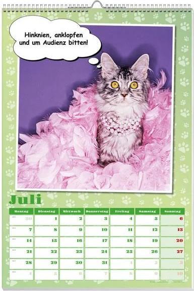 Actual product image Cool cats poster calendar 2025 (No binding, German)