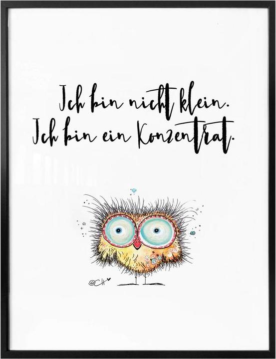 Produktbild Trenddeko Hagenmeyer - Ich bin nicht klein... (40 x 50 cm)