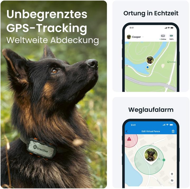 Actual product image Tractive GPS Dog (XL, Dog, Dog sport, Walks, Jogging)
