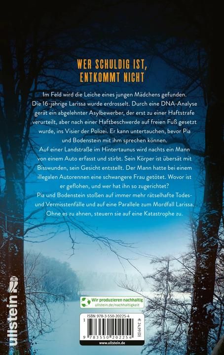 Produktbild Monster (Ein Bodenstein-Kirchhoff-Krimi 11) (Deutsch, Neuhaus, Nele, 2023)