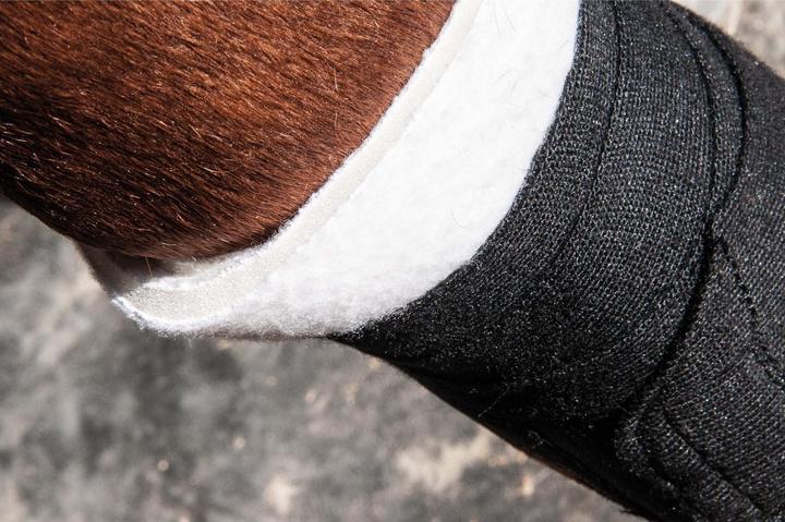 Produktbild TdeT Schaumstoffunterlage für Pferd Hinterteil
