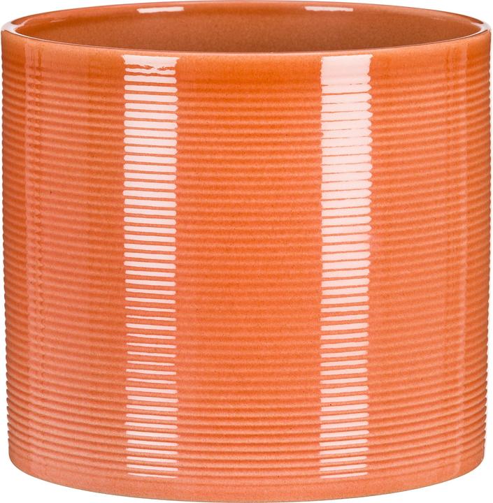 Actual product image Scheurich Papaya (12 cm)