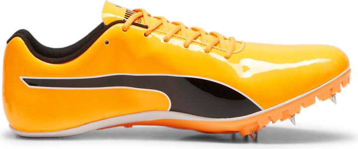 Actual product image Puma Evospeed Sprint 14 (41)