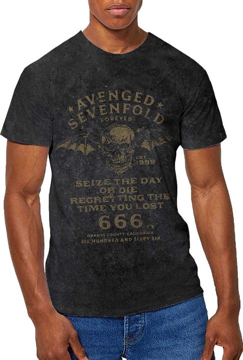 Produktbild Avenged Sevenfold Seize The Day (L)