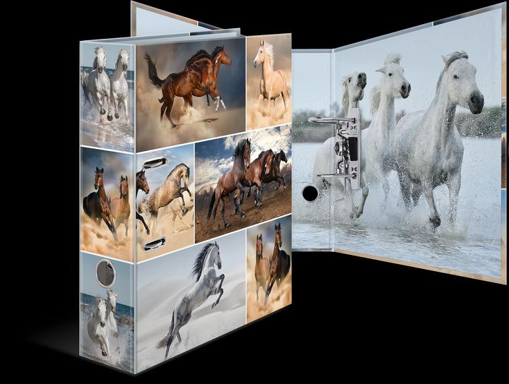 Actual product image HERMA A4 folder motif (A4, 70 mm, 1 Piece)