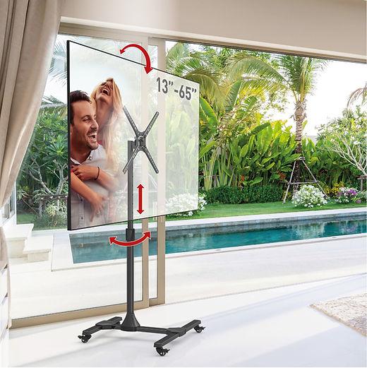 Image du produit Barkan SW310H Support TV (65") Noir (65", 36 kg)