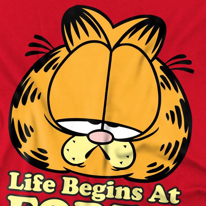 Produktbild Garfield Life Begins At Forty TShirt (3XL)
