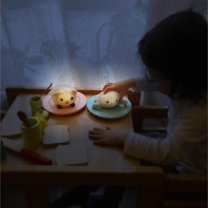 Actual product image Pabobo Night light Shakies