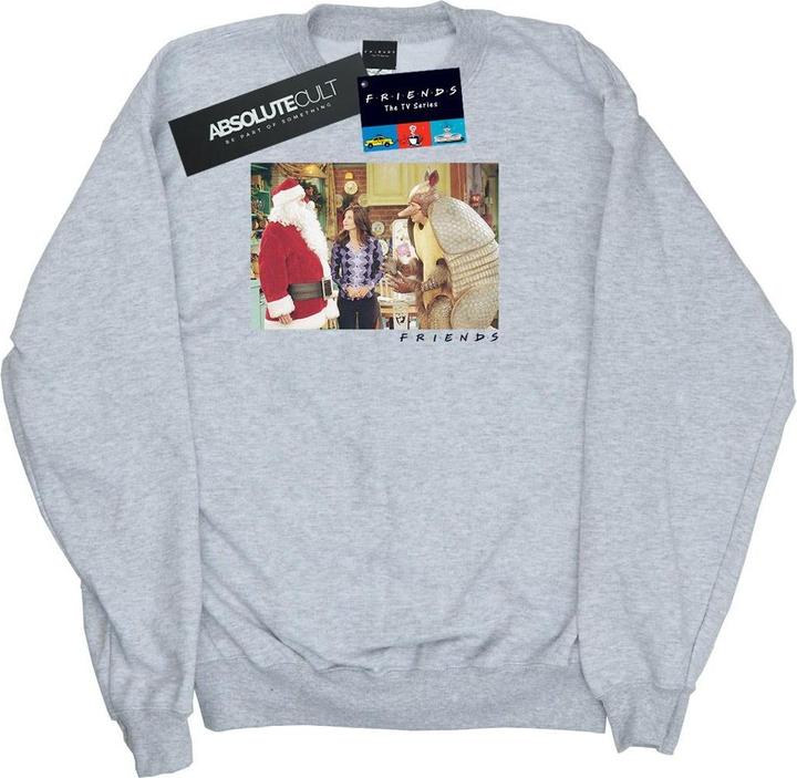 Image du produit Friends - Sweat THE HOLIDAY ARMADILLO - Homme (XXL)