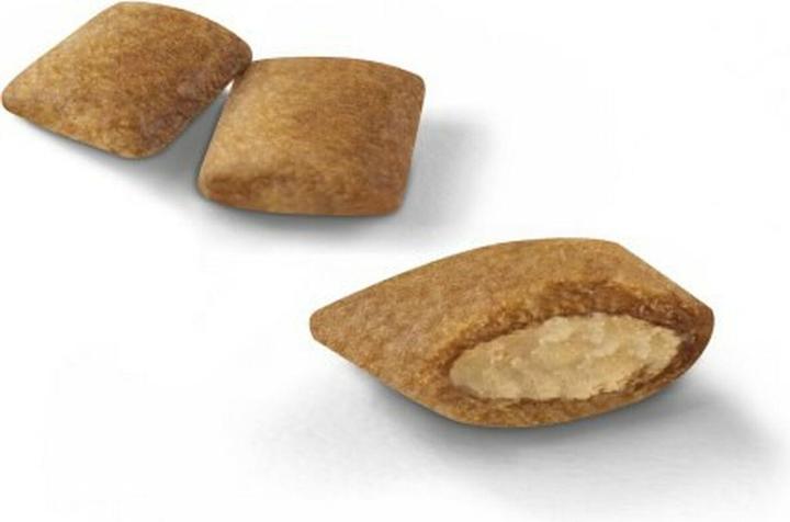 Actual product image Royal Canin Ageing 12+ (Senior, 1 pcs., 2000 g)