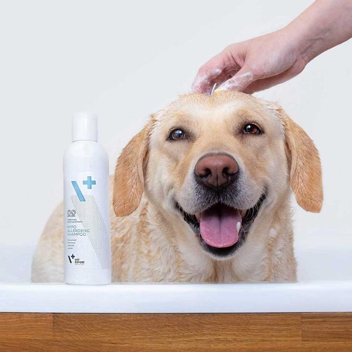Image du produit Vet Expert Shampooing hypoallergénique / Shampooing hypoallergénique (Chien, 250 ml)