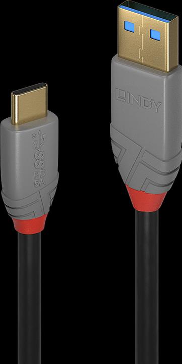 Actual product image Lindy Anthra Line (1 m, USB 3.1)