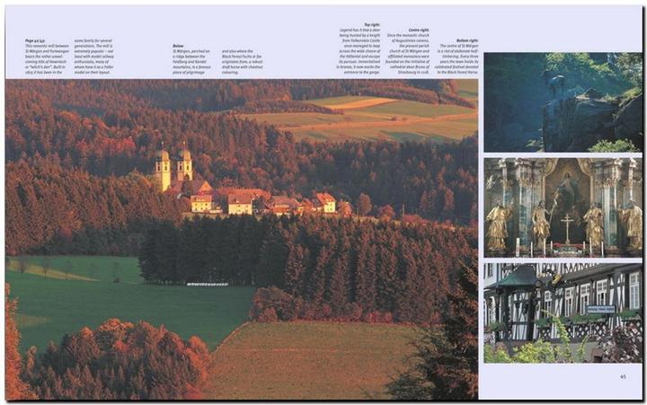 Actual product image Journey through the Black Forest (English, Martin Schulte-Kellinghaus, Ruth Chitty, Erich Spiegelhalter, Annette Meisen, 2019)