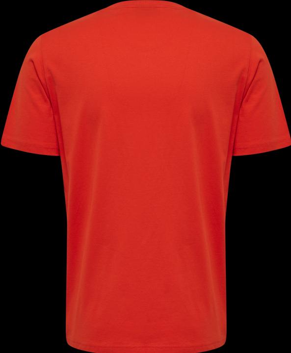Actual product image hummel Lgc Carson T-Shirt (L)