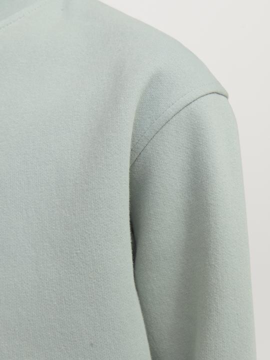 Immagine prodotto Jack & Jones Jorvesterbro Sweat Crew Neck Bn Mni (122)