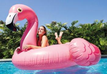 Actual product image Intex Flamingo Ride On