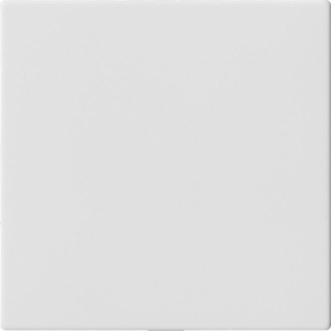 Actual product image Gira Blind cover without support ring System 55 pure white 810827
