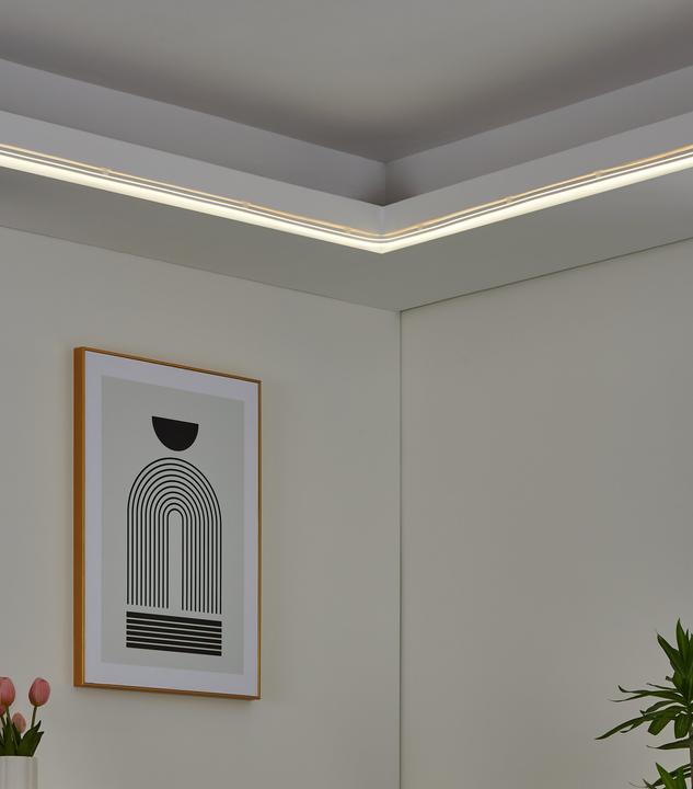Produktbild EGLO Neon-stripe-z (300 cm, Indoor)