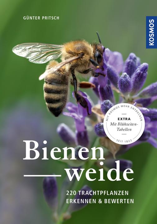 Immagine prodotto Kosmos Bienenweide (Tedesco, Günter Pritsch, 2018)