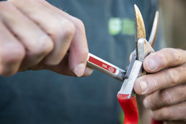 Actual product image Felco 905