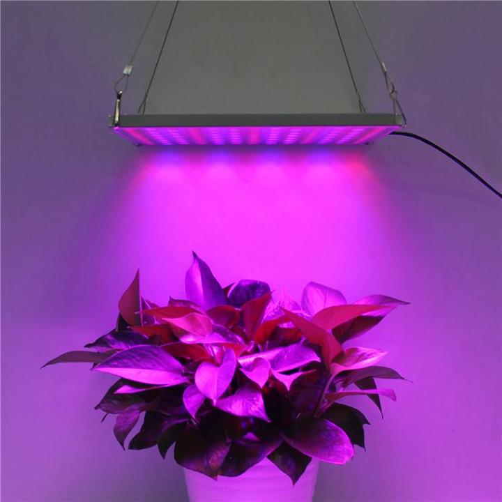 Image du produit Panneau (LED, 230 V)