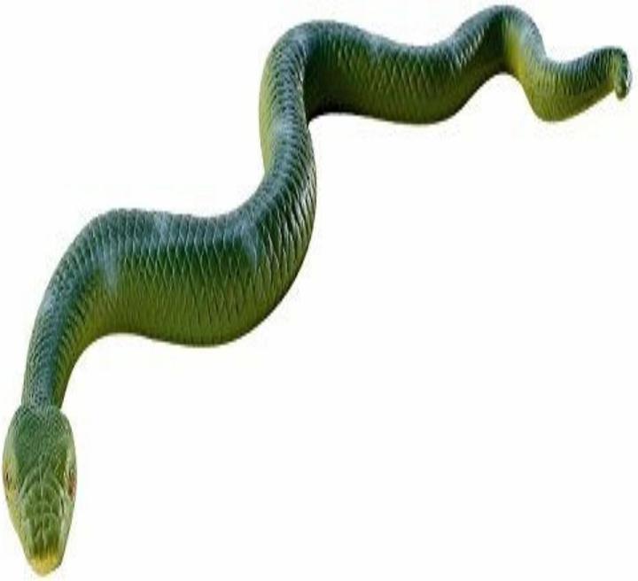 Immagine prodotto Bullyland Boa Constrictor