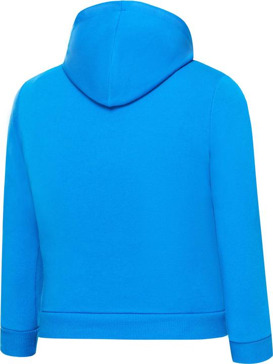 Produktbild Puma teamGOAL 23 Casuals Hoody Jr-656711 (152)