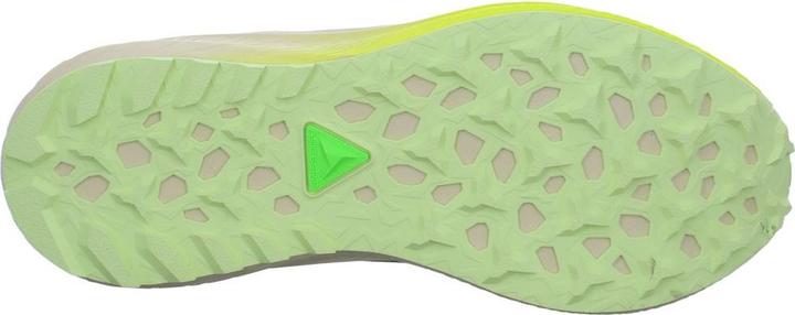 Image du produit ASICS Performance Fuji Lite 5 (40)