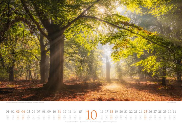 Immagine prodotto Harmonie Kalender 2026 (45 x 33 cm, Copertina rigida, Tedesco, Francese, Inglese)