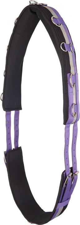 Immagine prodotto Imperial Riding Guaina di affondo per cavalli in nylon IRHDeluxe