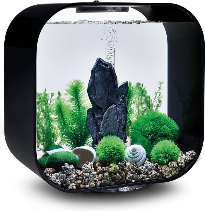 Immagine prodotto Oase Set di decorazioni per l'acquario biOrb 30 (Decorazione, altre voci)